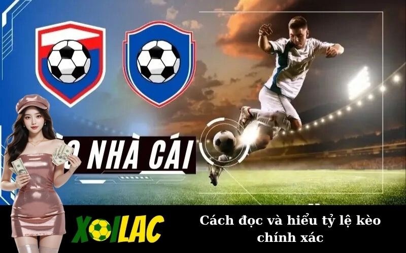 Cách đọc và hiểu tỷ lệ kèo chính xác