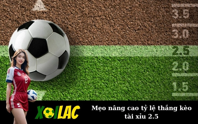 Mẹo nâng cao tỷ lệ thắng kèo tài xỉu 2.5